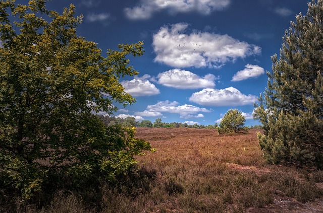 nature-1071466_640